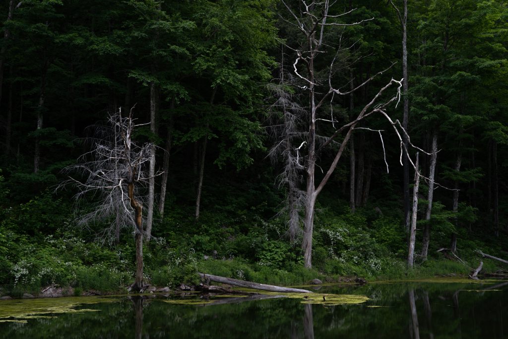 The Devil’s Tomb Dark and Deep