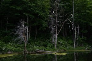 The Devil’s Tomb Dark and Deep