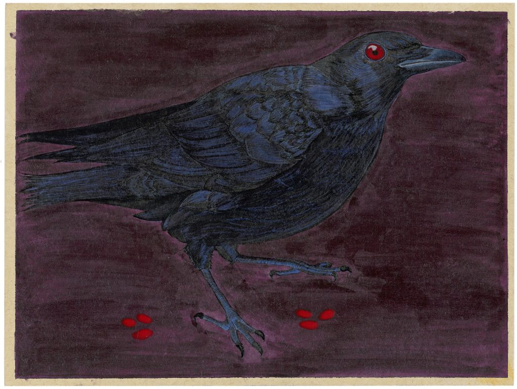 Crow and Magnolia Seeds