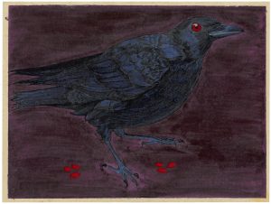Crow and Magnolia Seeds